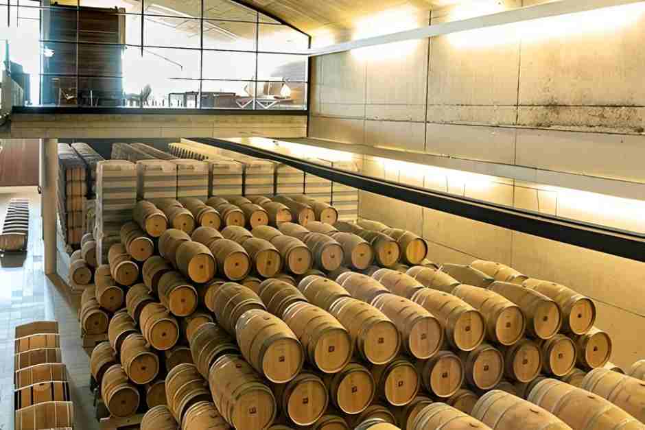 Weinreise Rioja Spanien – Drei Routen für Weinliebhaber und Genießer