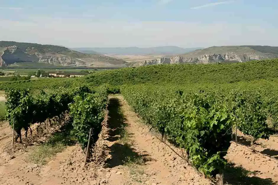 Oriental Rioja