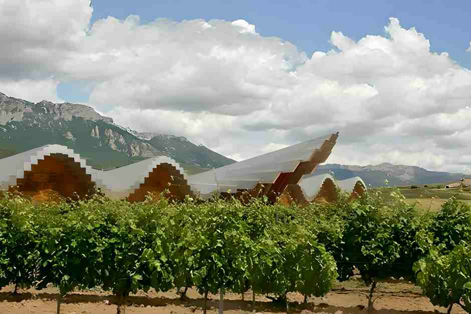 Ysios Wineries