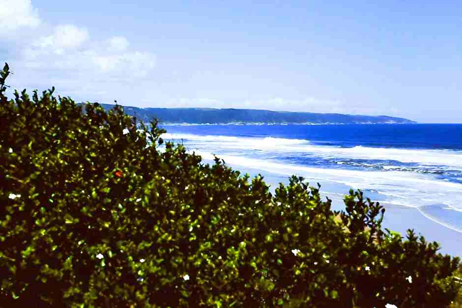 Ausblick auf den Strand von Wilderness