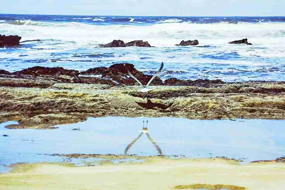 Lohnt sich Wilderness auf der Garden Route? Für wen ein Stopp oder eine Übernachtung Sinn ergibt