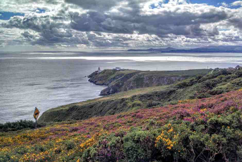 Tagesausflug ab Dublin nach Howth