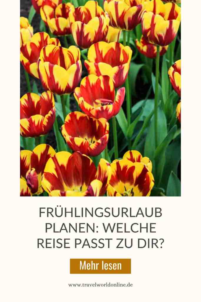 Frühlingsurlaub planen: Welche Reise passt zu dir?