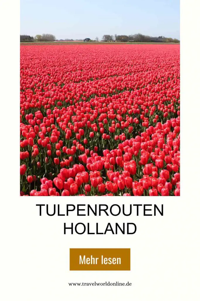 Tulpenrouten in Holland