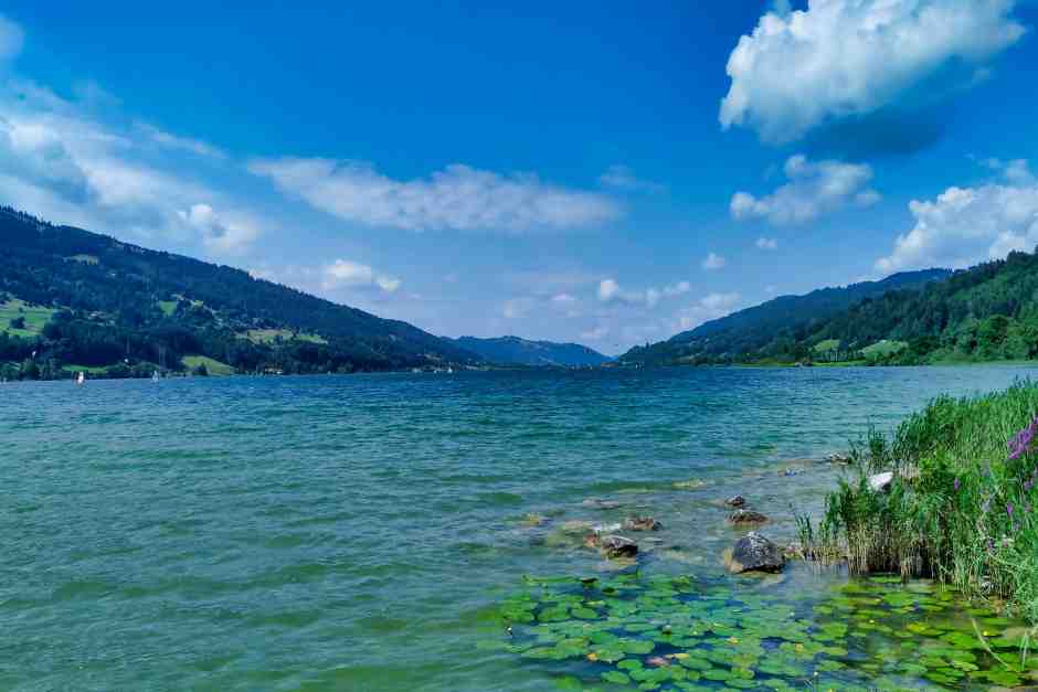 Great Alpsee