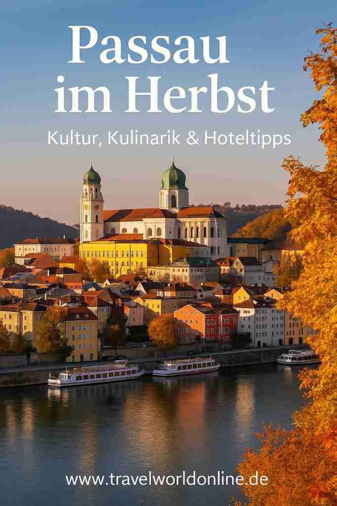 Passau im Herbst Pin