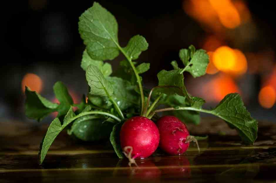 Radi passt zum Oktoberfest Essen