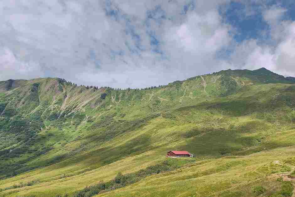 Alm in den Allgäuer Alpen