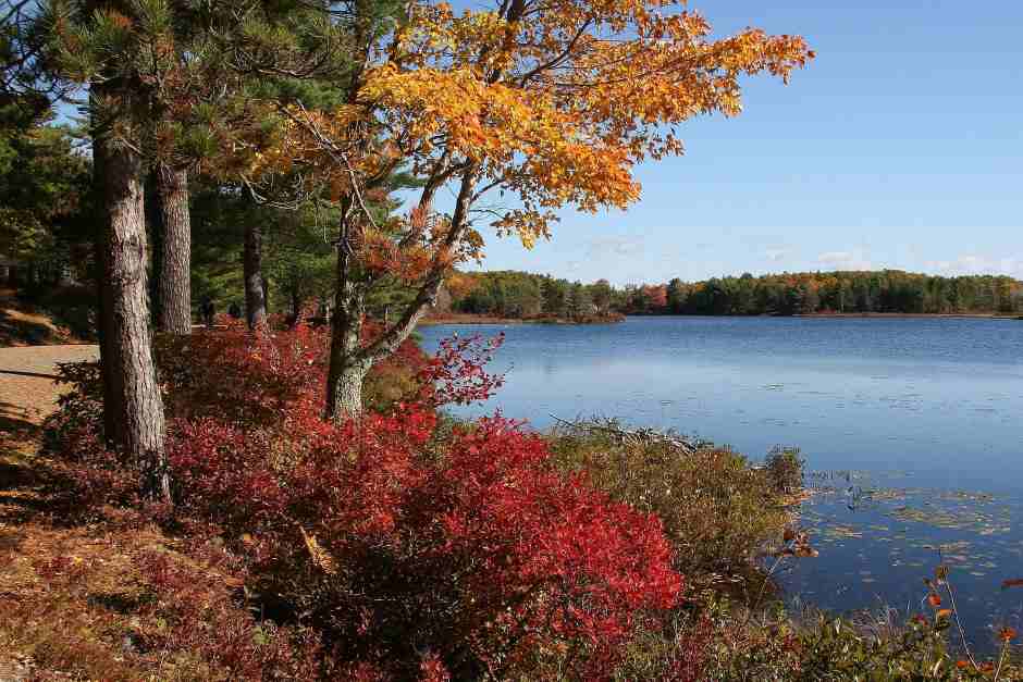 Fotosposts im Indian Summer in Neuengland - der Acadia National Park