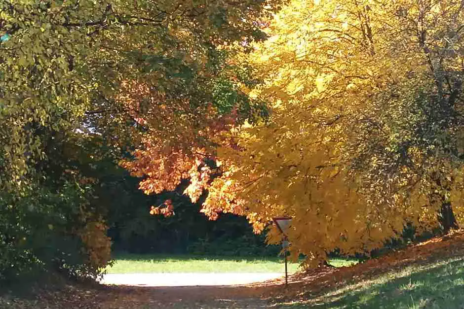 Herbstlaub auf einem Neuengland Roadtrip im Herbst