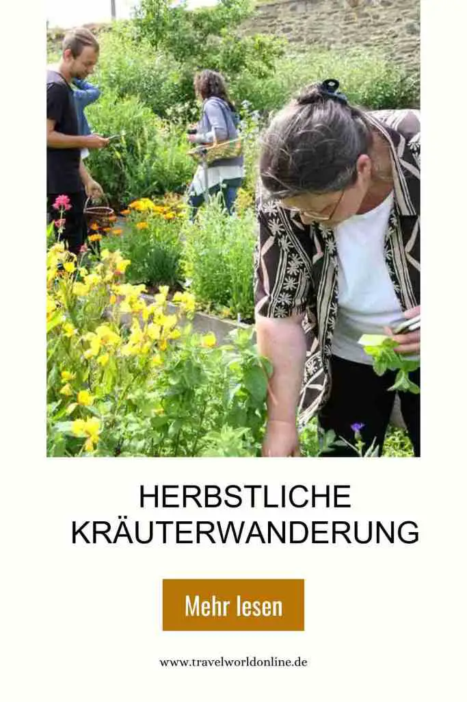 Herbstliche Kräuterwanderung
