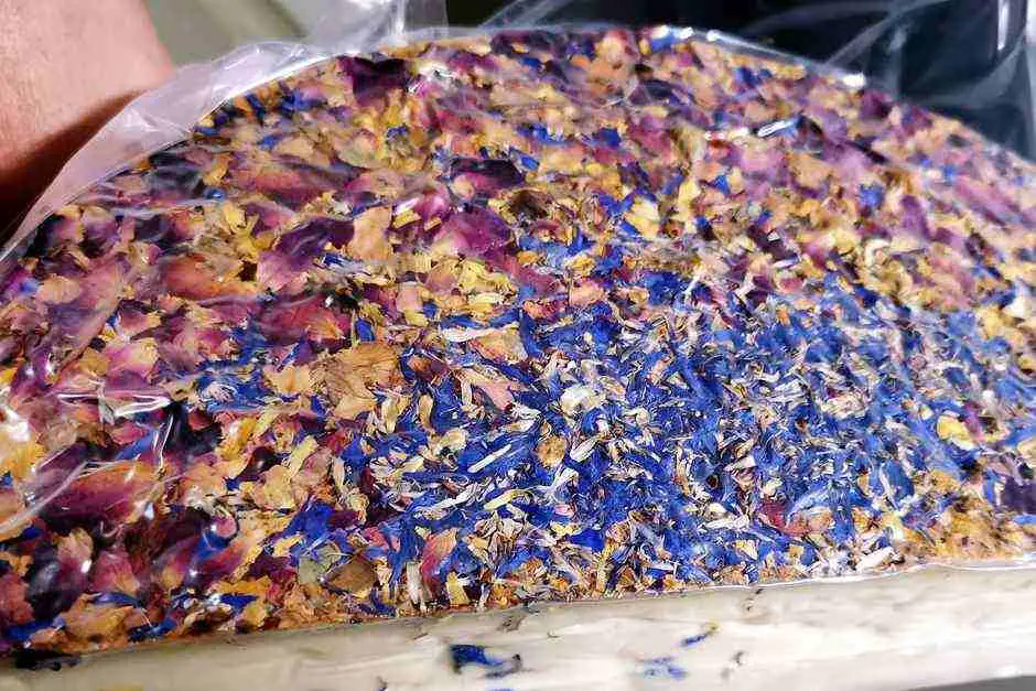 Wildblumenkäse auf einer kulinarischen Rundreise durch Hessen