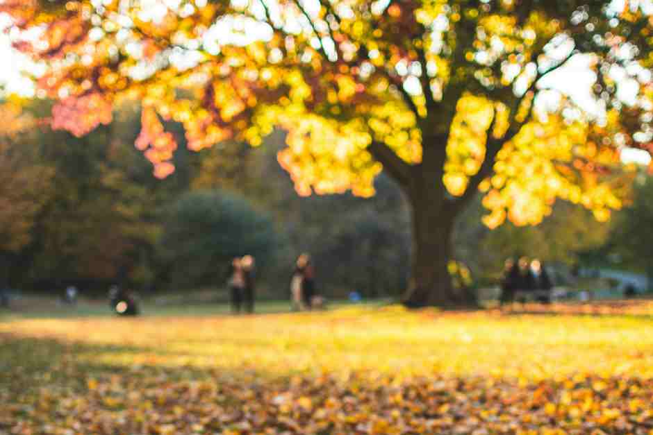 Von Montreal nach Quebec City im Herbst