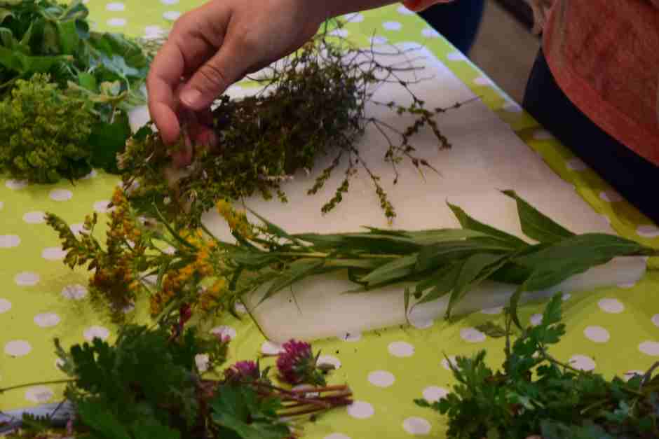 Nach der Kräuterwanderung wird gekocht