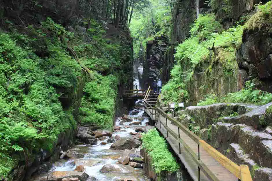 Schlucht in den White Mountains auf unserem Neuengland Roadtrip im Herbst