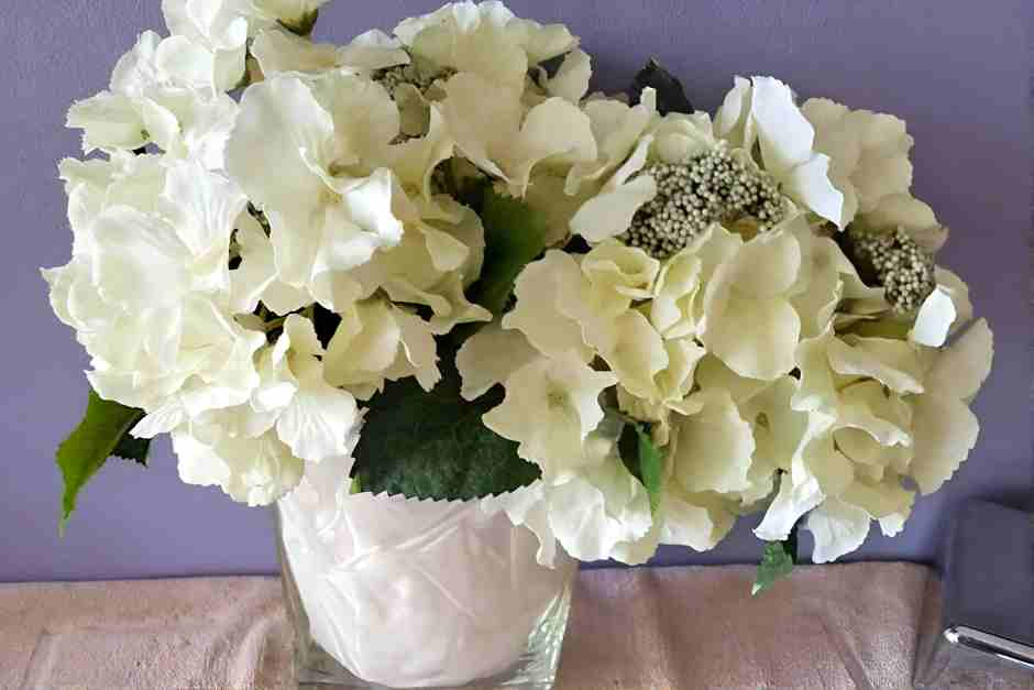 Im Thermenhotel in Bad Wildungen