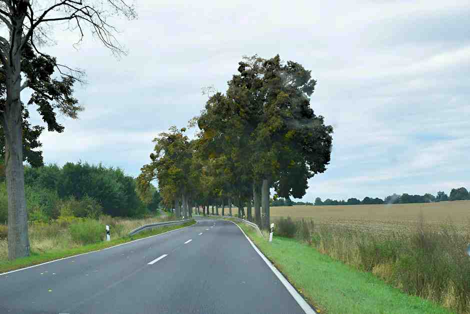 Landschaft um den Paulinenhof