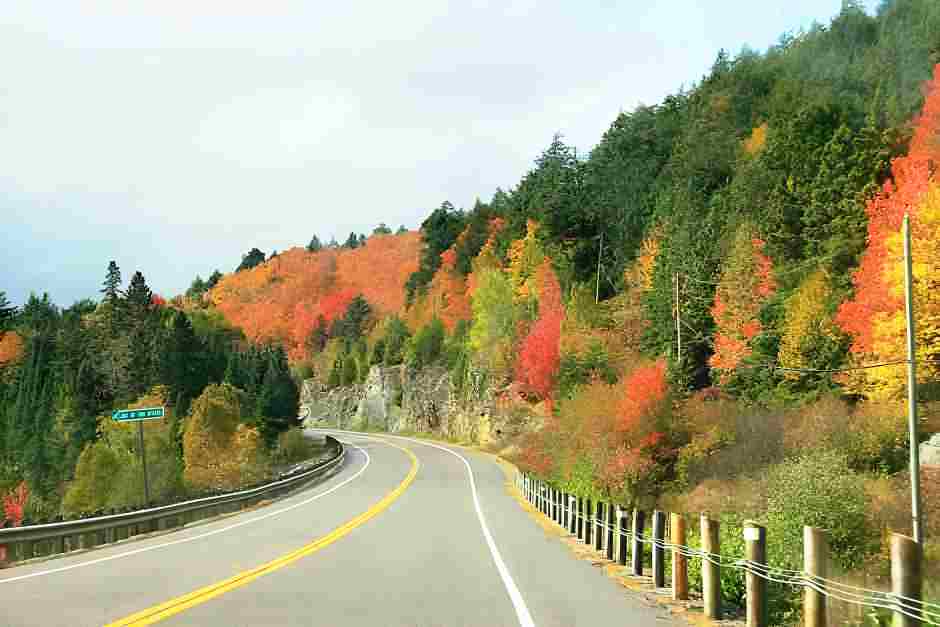 Algonquin Park im Indian Summer