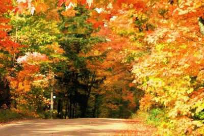 Algonquin Park wie viele Nächte