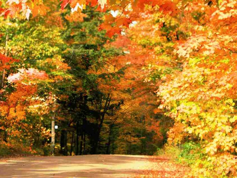 Algonquin Park wie viele Nächte