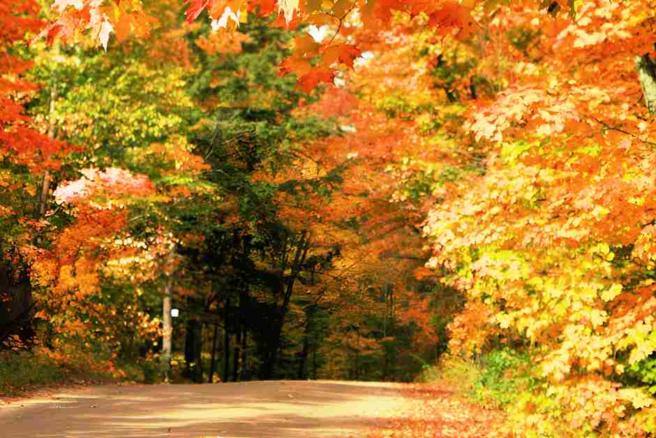 Algonquin Park wie viele Nächte