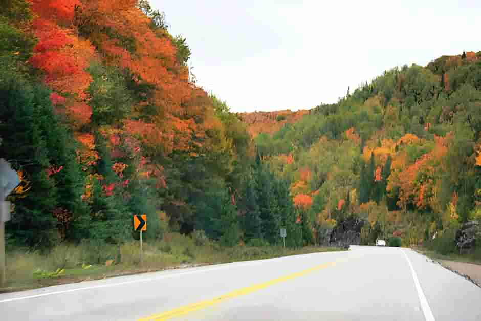 Am East End des Algonquin Park