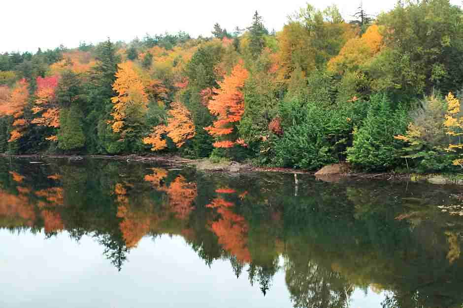 An einem See im Algonquin Park