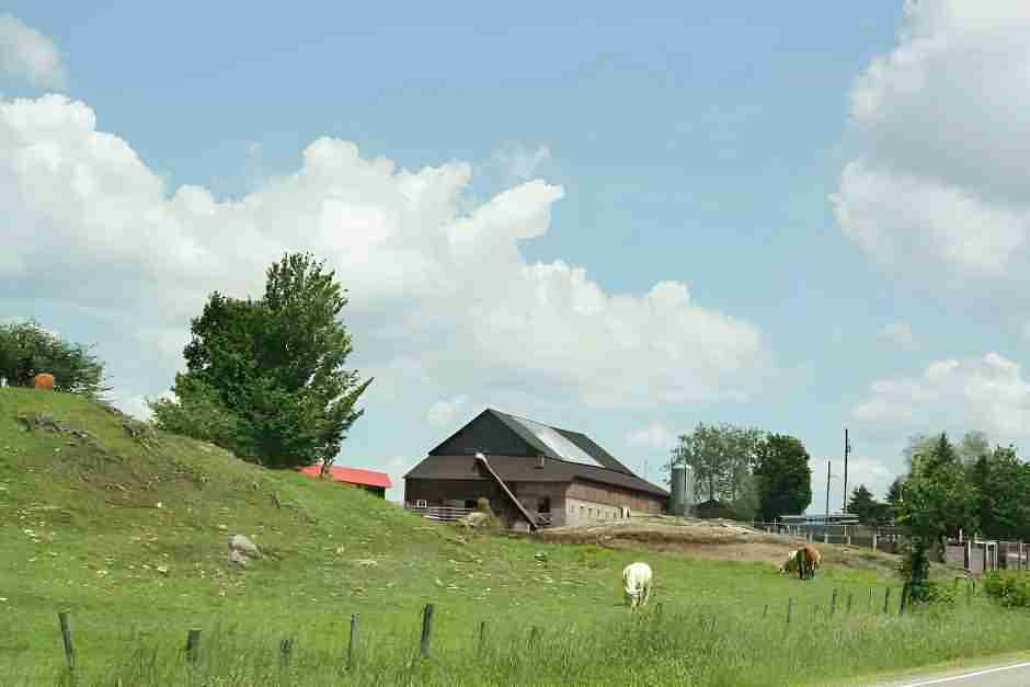 Auf dem Land in den Cantons de lEst