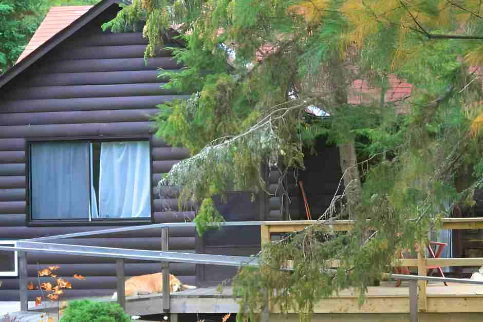 Cabin im Algonquin Park