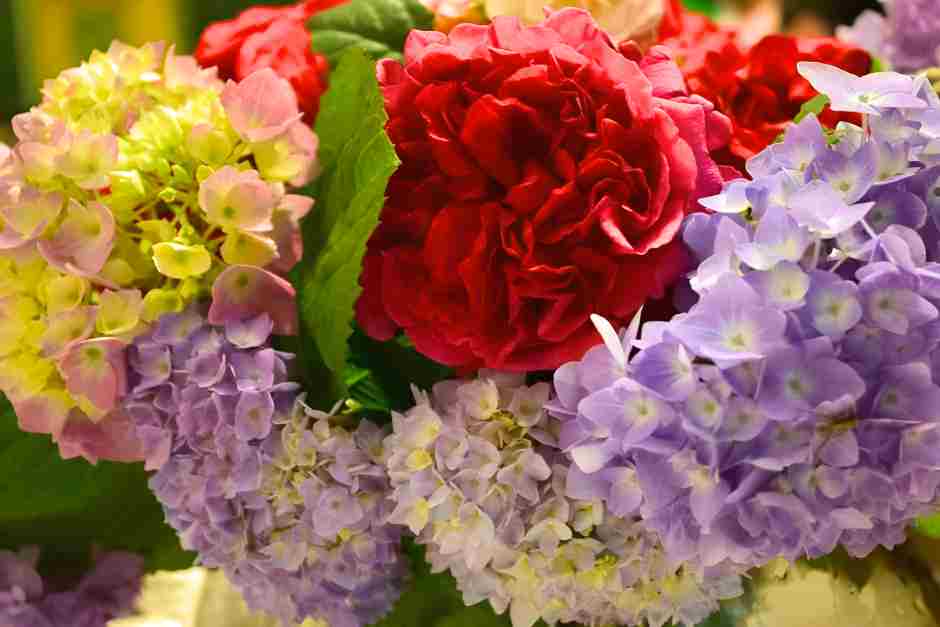 Genuss für die Augen