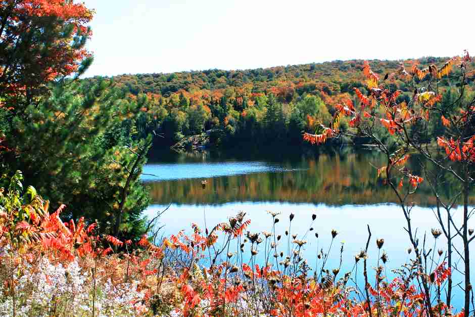 Herbststimmung in der Umgebung des Algonquin Parks