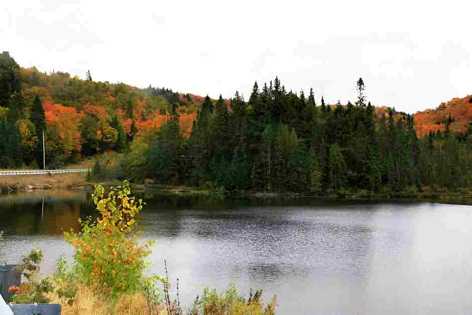 Lohnt eine Algonquin Park Unterkunft am See