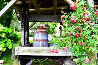 Weinpresse vor der Buschenschank bei unserem Thermenurlaub in der Steiermark