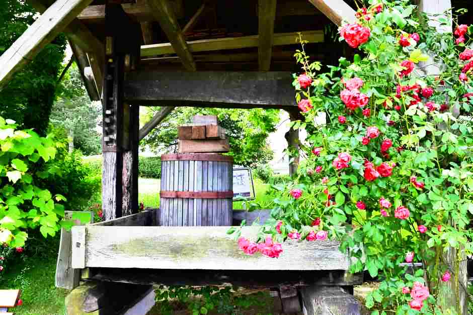 Weinpresse vor der Buschenschank bei unserem Thermenurlaub in der Steiermark