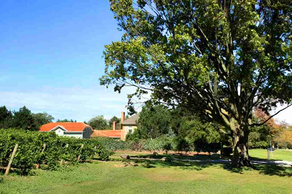 Wine Farm bei Niagara on the Lake ist perfekt für einen Farm Stay in Ontario