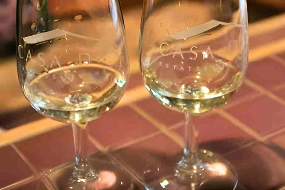 Eine Weinprobe beim Winzer