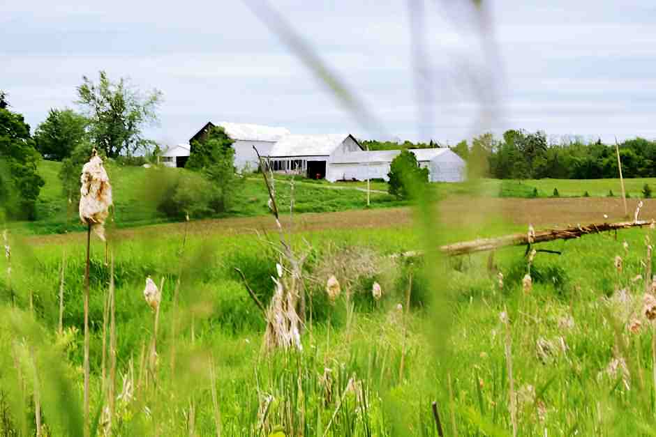 Farm Stay in Ontario bei Keene